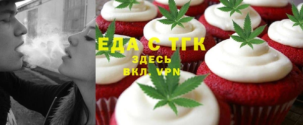 индика Богородицк