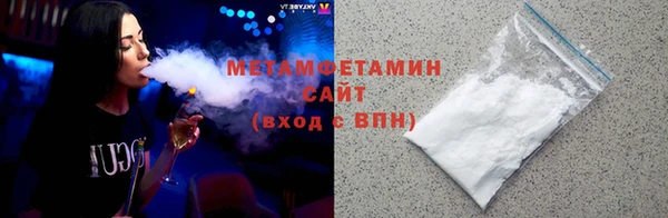 индика Богородицк