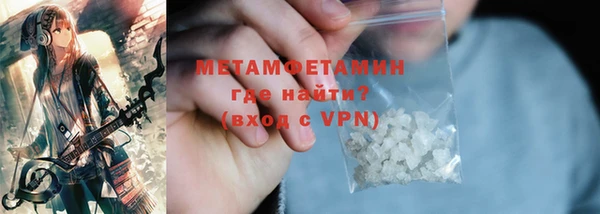 индика Богородицк