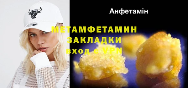 индика Богородицк