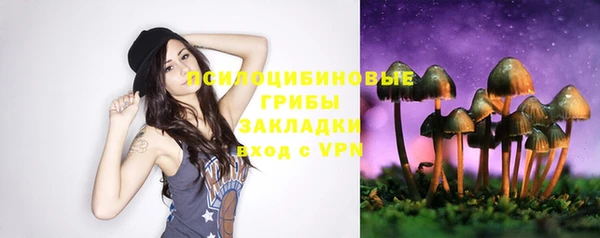 эйфоретик Богородск