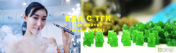 индика Богородицк