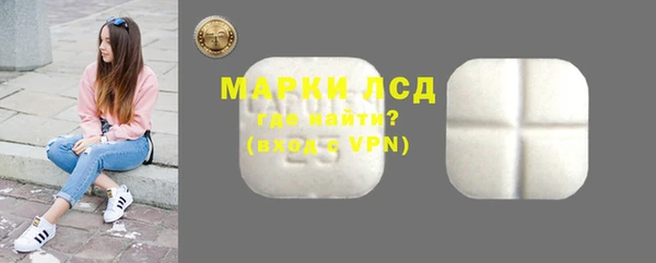 индика Богородицк