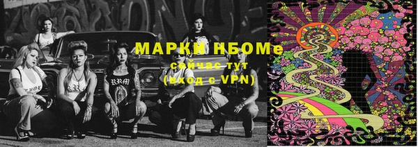 индика Богородицк