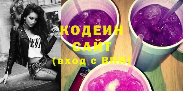 индика Богородицк