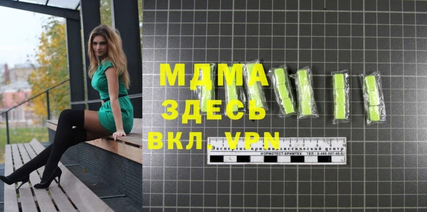 индика Богородицк