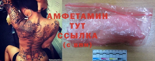 индика Богородицк