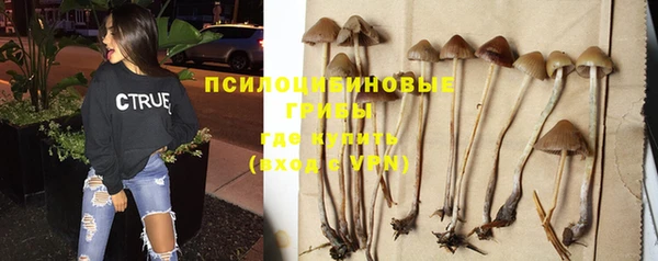 эйфоретик Богородск