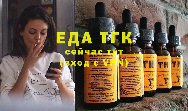 индика Богородицк