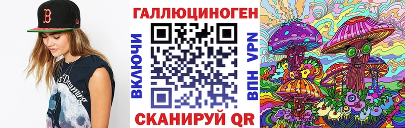 Псилоцибиновые грибы Psilocybe  Гудермес 