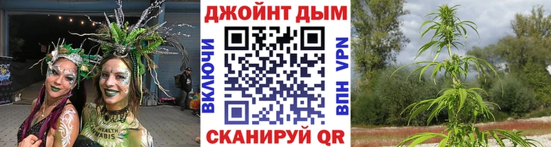 Марихуана конопля  Гудермес 